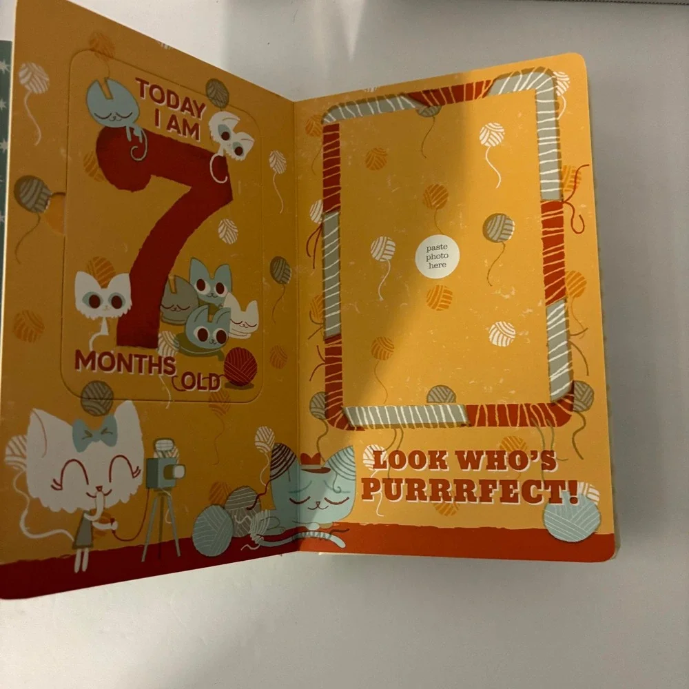 Baby's First Year Photo Gallery Memory Book Album w/ 12 Monthly Milestone Cards